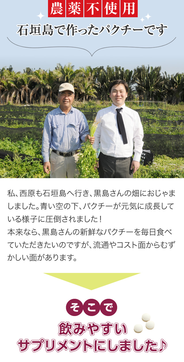 農薬不使用 石垣島で作ったパクチーです