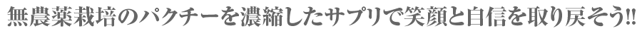 抗酸化ハーブの王様・パクチーのサプリで笑顔と自身を取り戻そう